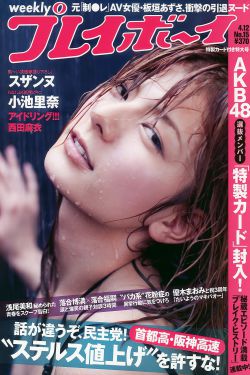 黑道大佬第2季免费观看